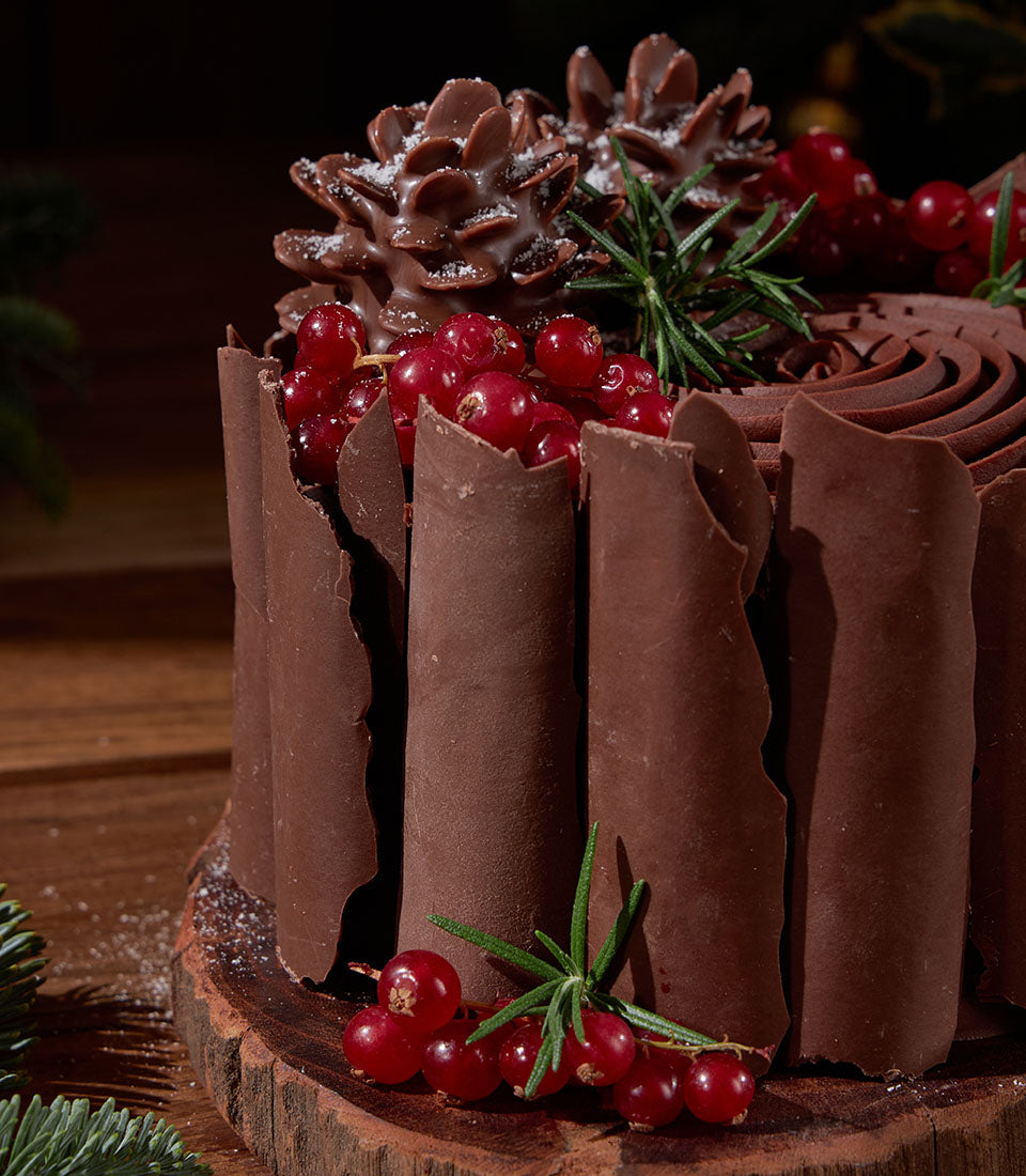Dark chocolate ganache cake with chocolate curls, candied pinecones, fresh red currants and rosemary garnish