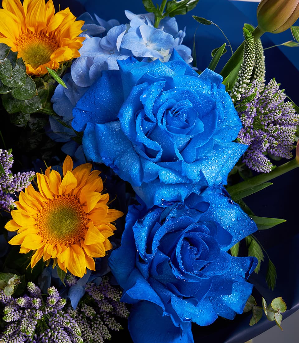 Royal blue roses and sunflowers with hydrangeas in fresh luxury bouquet