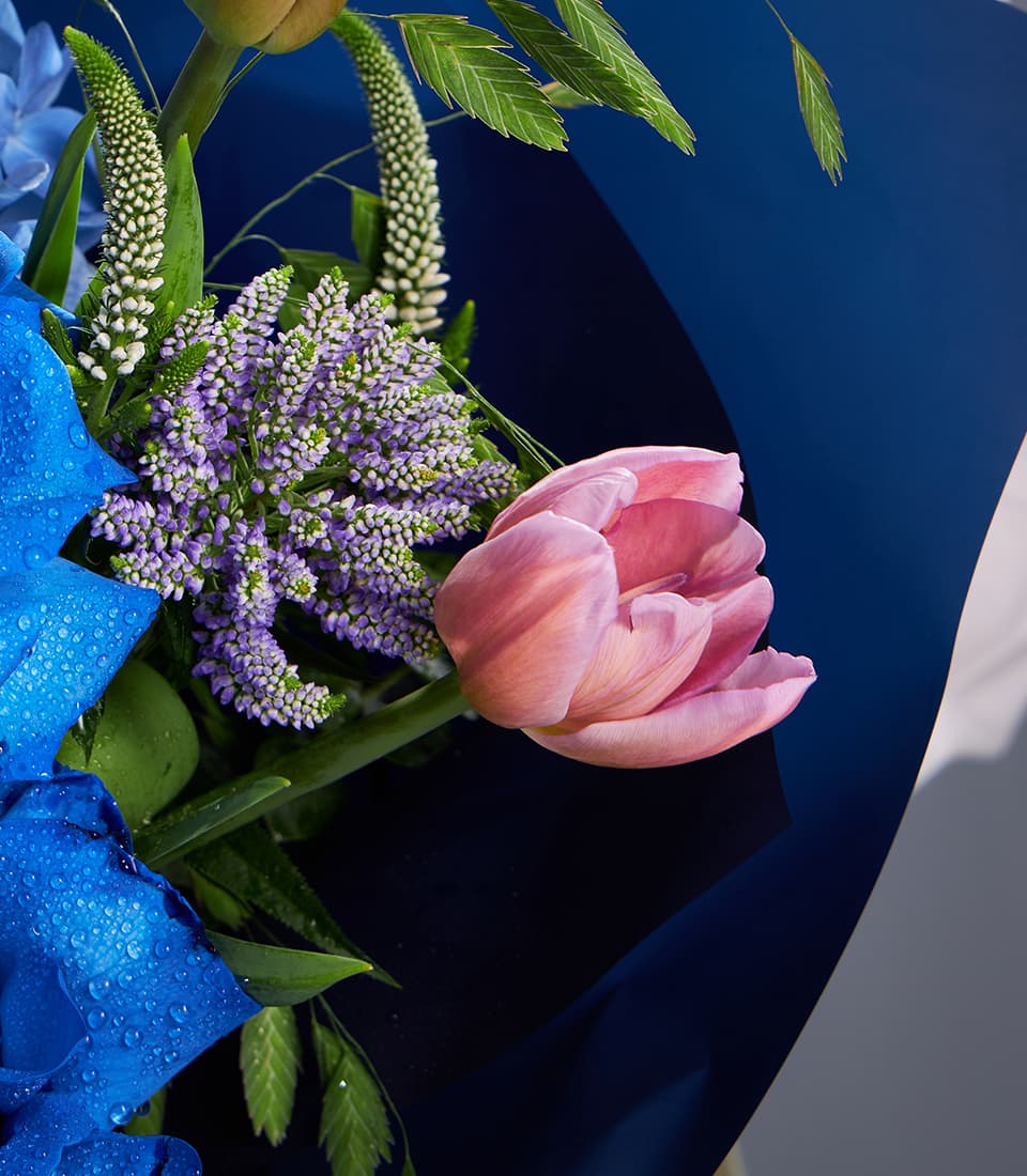 Royal blue and pink fresh flower bouquet with sunflowers and roses, wrapped in navy paper
