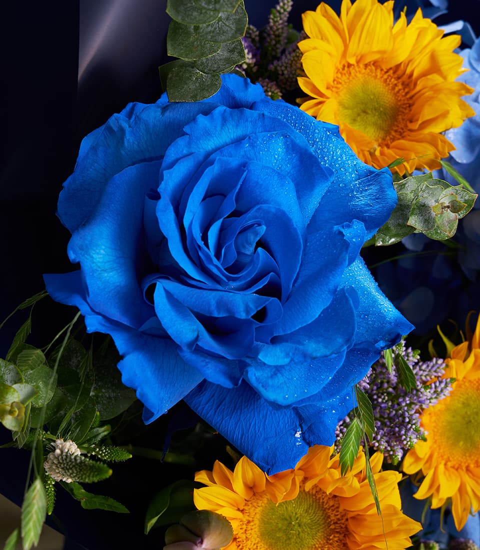Royal blue rose with yellow sunflowers and eucalyptus greenery, fresh luxury bouquet for gifting
