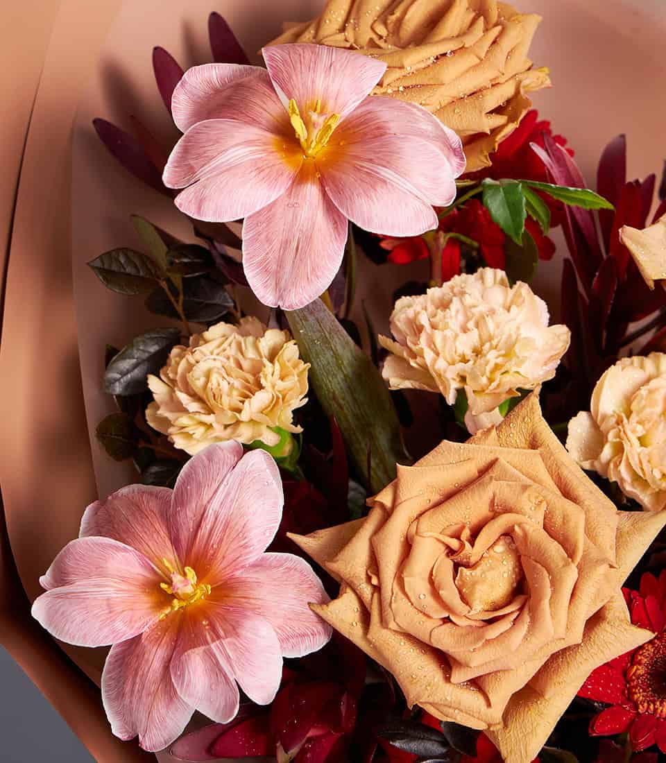 Caramel roses, pink cosmos, and red gerbera anniversary bouquet with premium Ecuador-sourced blooms