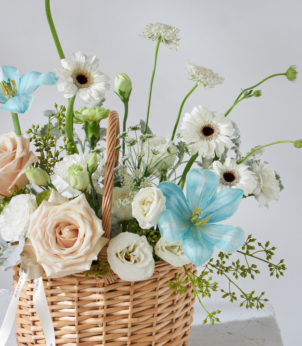 Woven wicker basket with white gerberas, peach roses, and light blue striped tulips for birthday gifting
