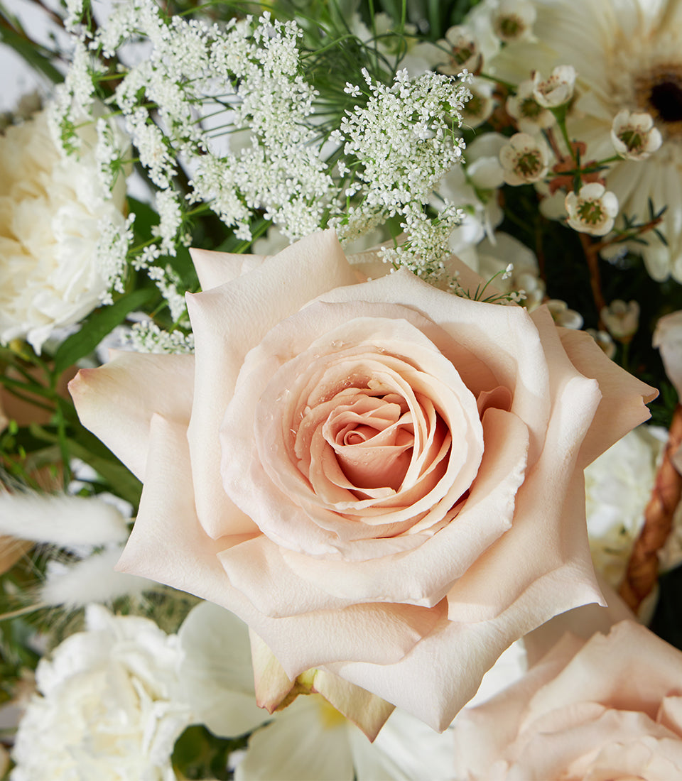 Cream roses and white gerberas in a premium woven flower basket