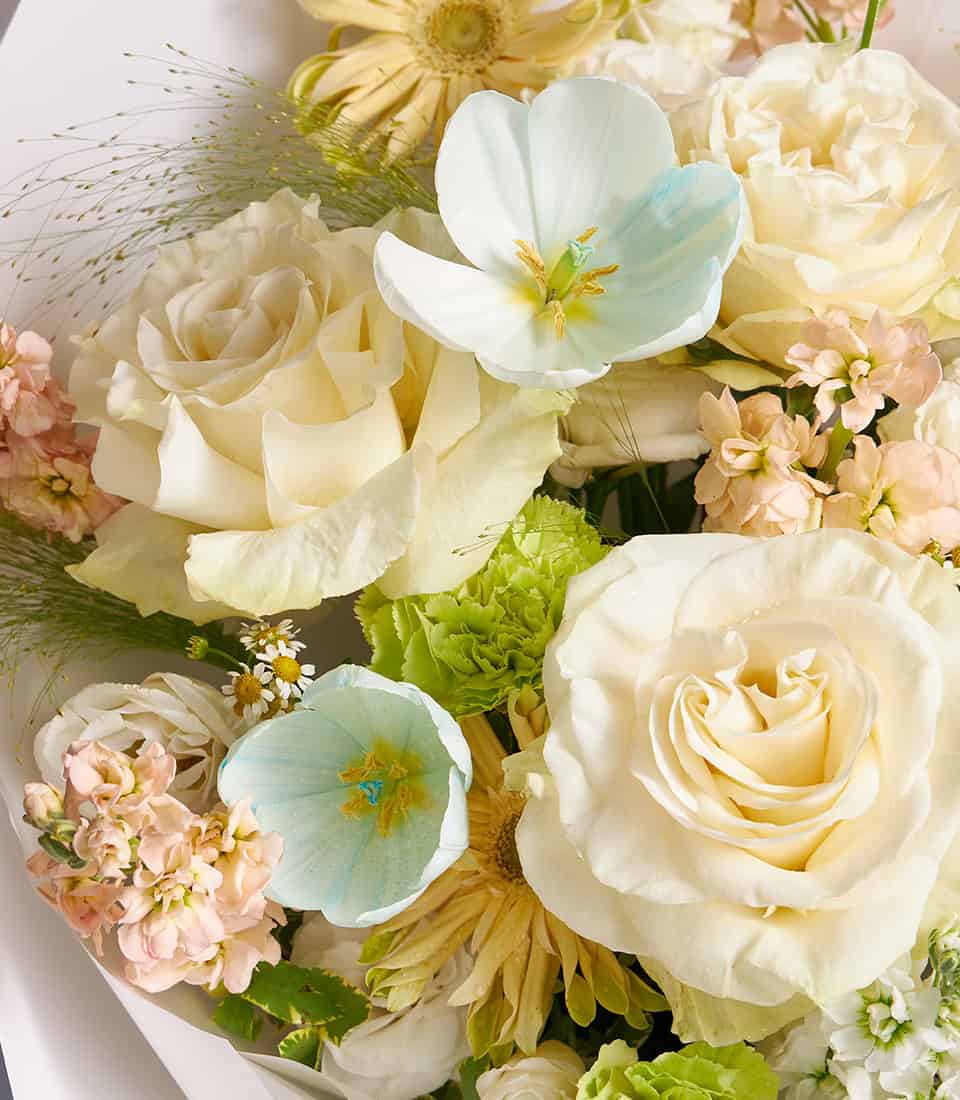 Ivory roses, blue anemones and champagne blooms fresh flower bouquet with green foliage
