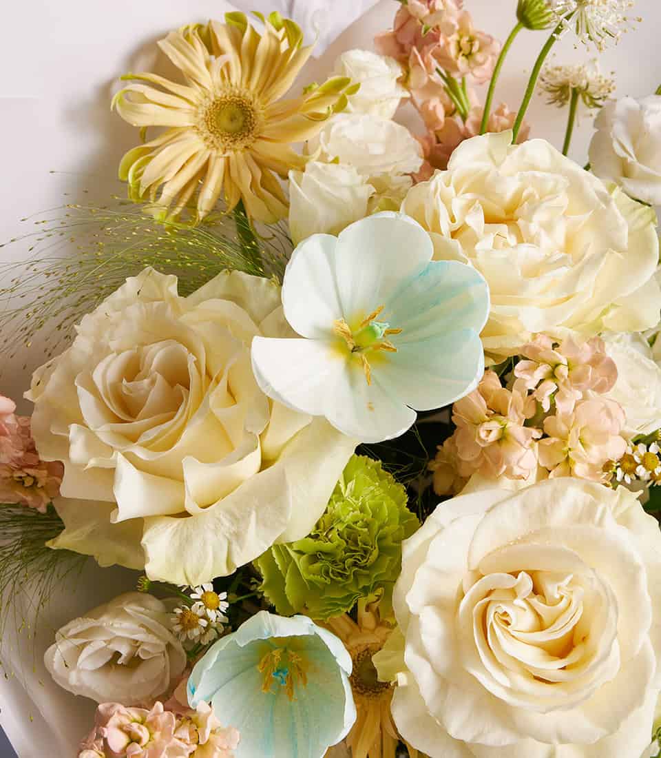 Ivory roses, blue-tipped tulips, and peach stock flowers in a lush premium bouquet with green filler foliage