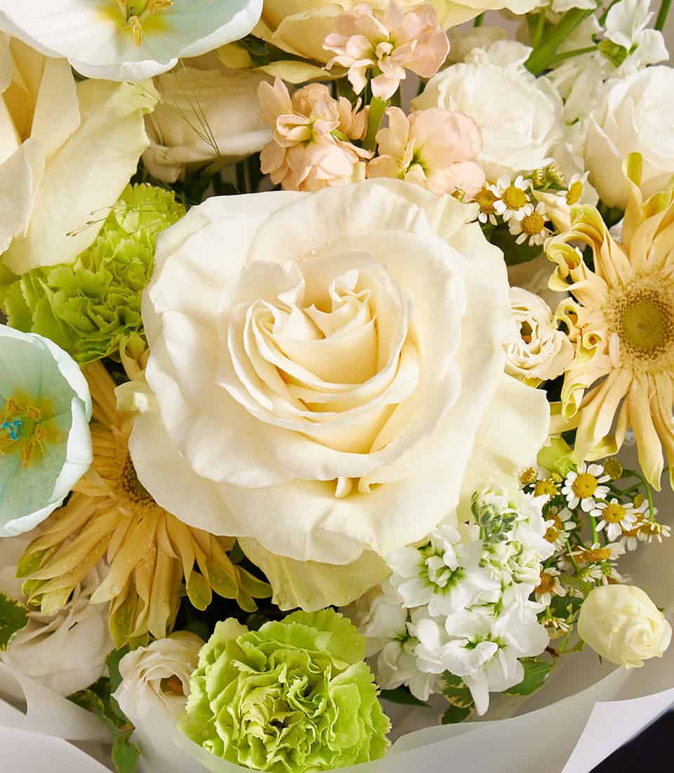 Ivory rose, blue anemone and champagne blooms fresh flower bouquet with green carnations and stock flowers