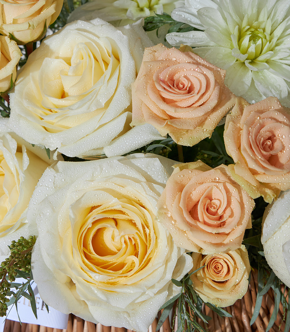Ivory and peach spray roses with white dahlia in woven basket, fresh flower gift arrangement