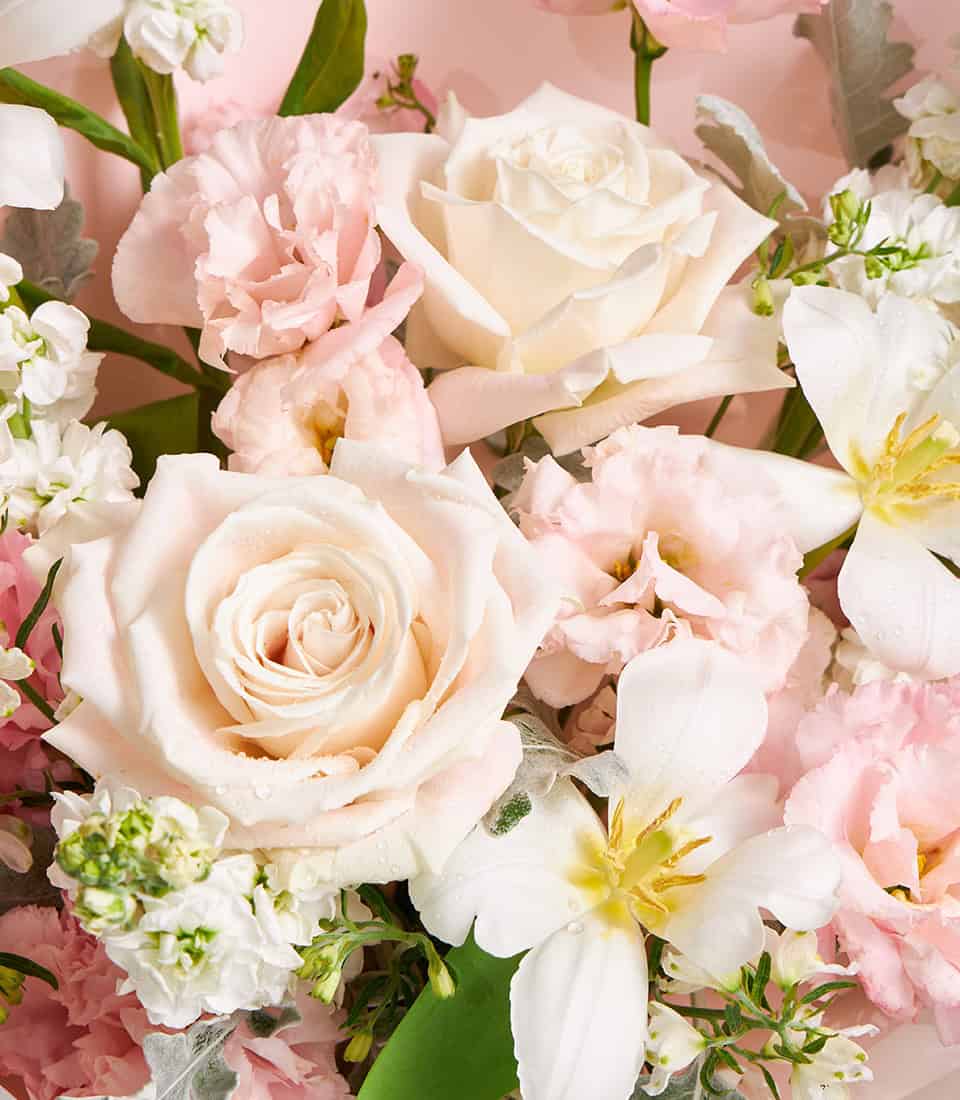 Ivory and blush rose bouquet with white freesia and soft pink carnations, fresh Ecuador roses