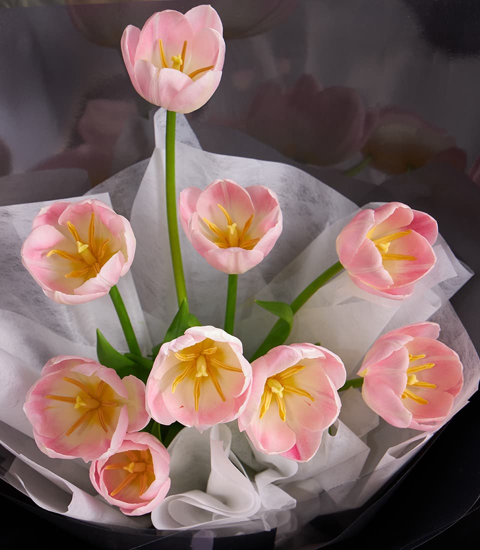 Pastel pink tulip bouquet with yellow stamens in white tissue wrap, fresh cut flowers for gifting