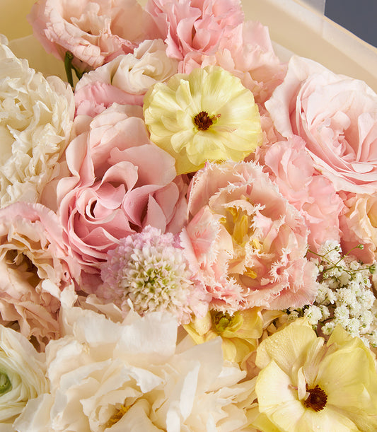 Romantic bouquet of pink roses, yellow ranunculus, white ranunculus, and cream tulips with fresh water droplets