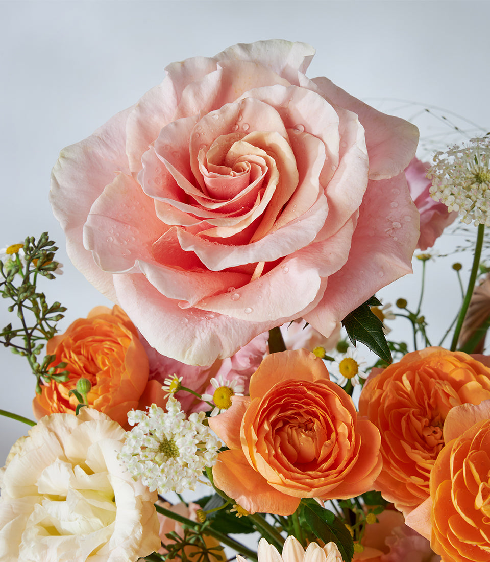 Sunset Glow birthday flower basket with pink roses, orange blooms, and white daisies in a lush arrangement