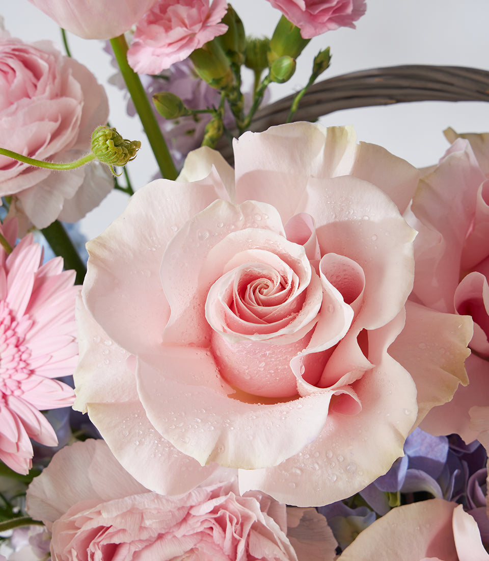 Pastel pink roses and gerbera daisy in woven basket arrangement with ranunculus and carnations