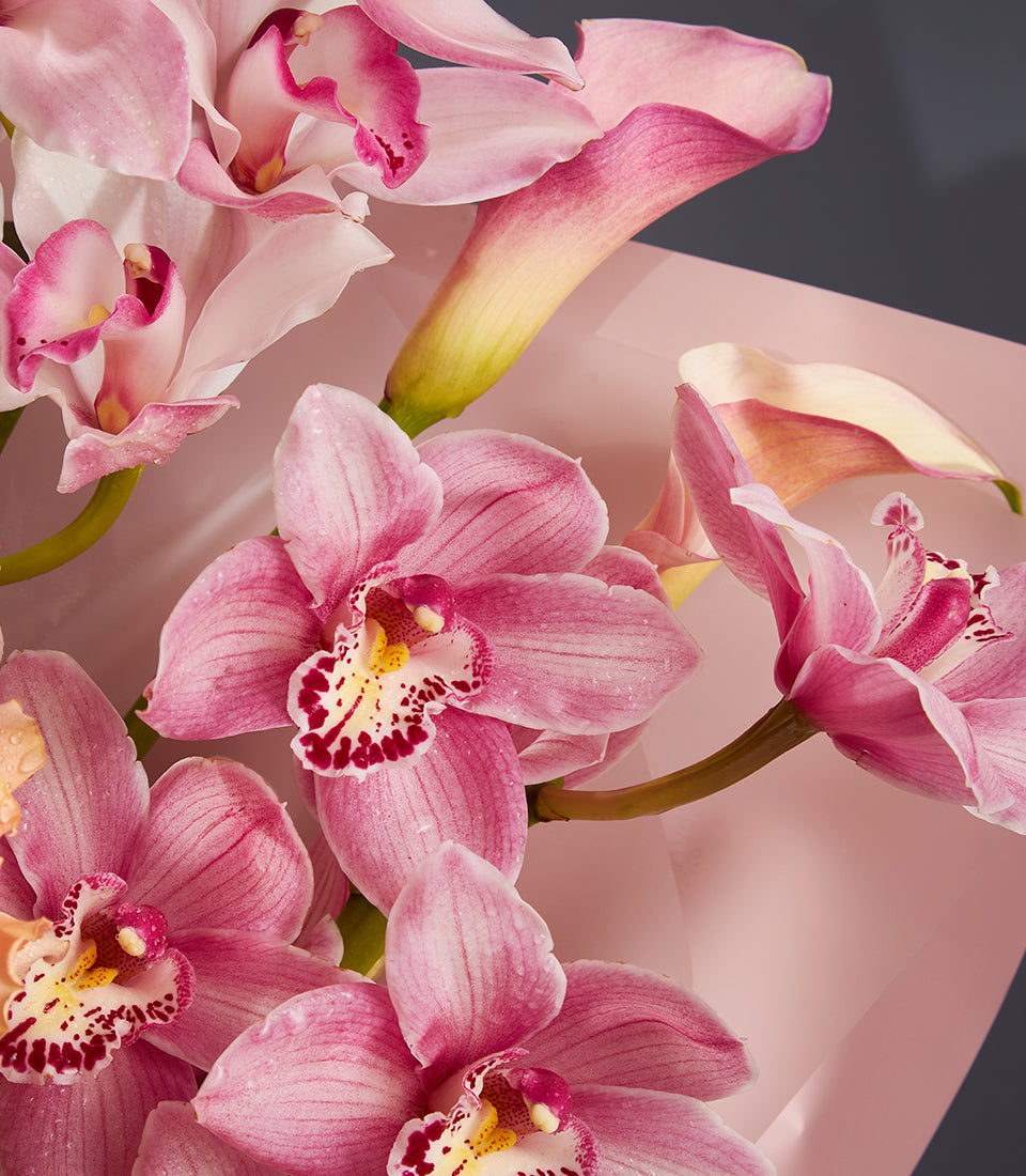 Pink orchids and calla lilies luxury bouquet with water-kissed petals on soft pink surface