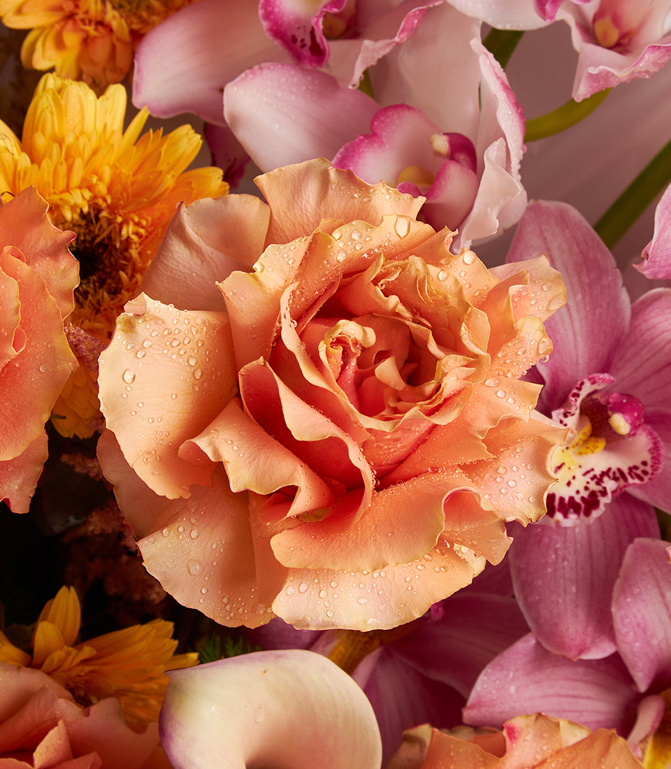 Vibrant peach rose with yellow chrysanthemums, pink orchids, and white calla lily fresh flower arrangement