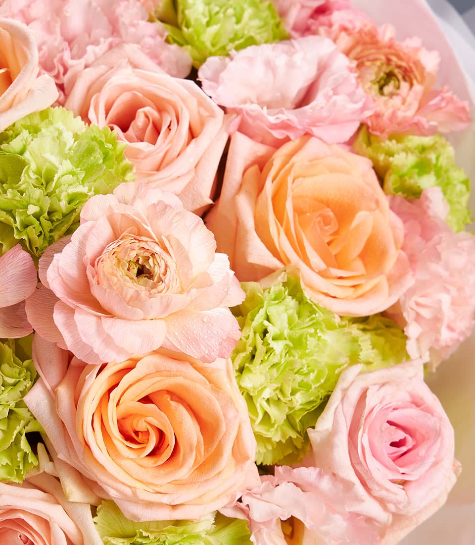 Vibrant mixed bouquet of light pink roses, peach ranunculus, and lime green carnations with water droplets