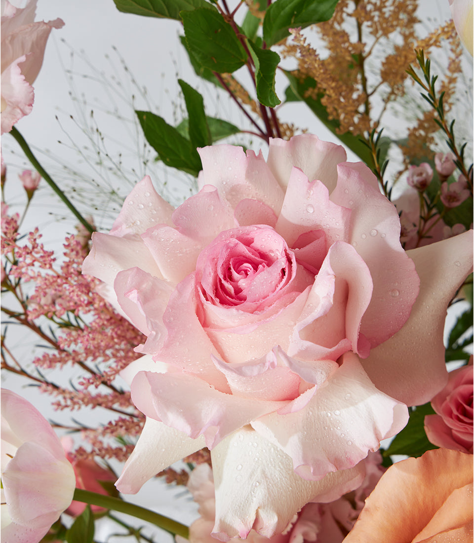Peach and pink roses with tulips in fresh flower basket arrangement