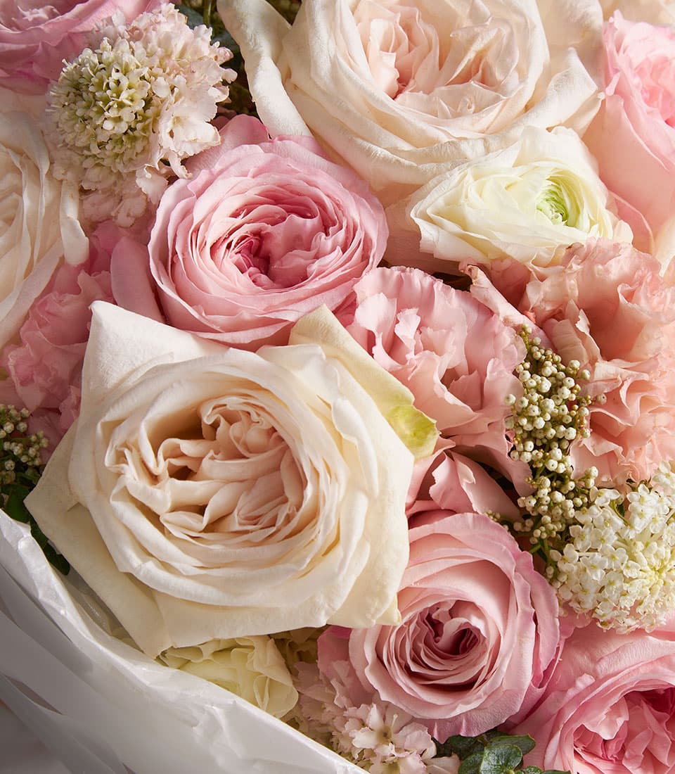 Pink and cream fresh flower bouquet with roses, carnations, and filler blooms in white protective wrapping