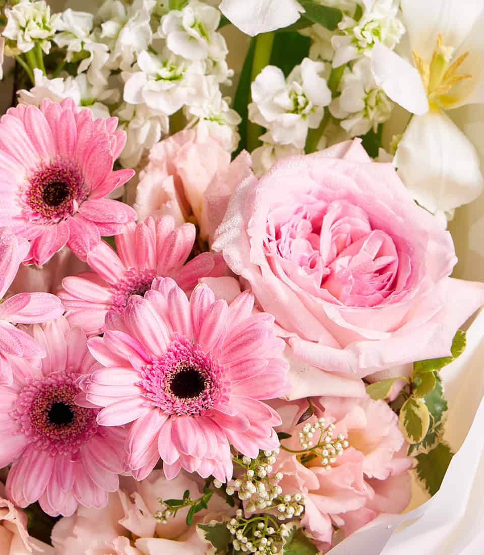 Pink gerbera and garden roses with white stock fresh flower bouquet, artisan arrangement with water-kissed petals