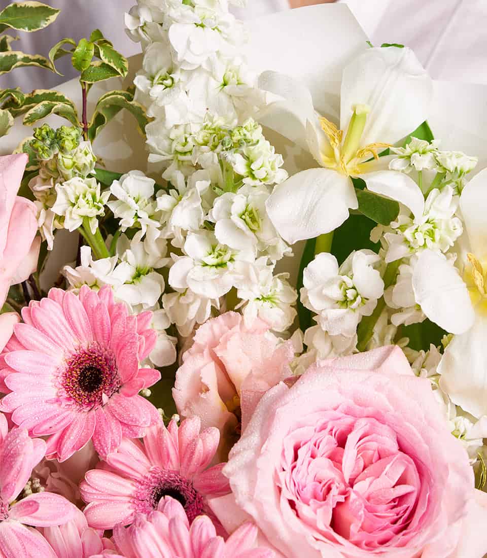 Pink gerbera, garden roses & white stock fresh flower bouquet with premium Ecuador roses