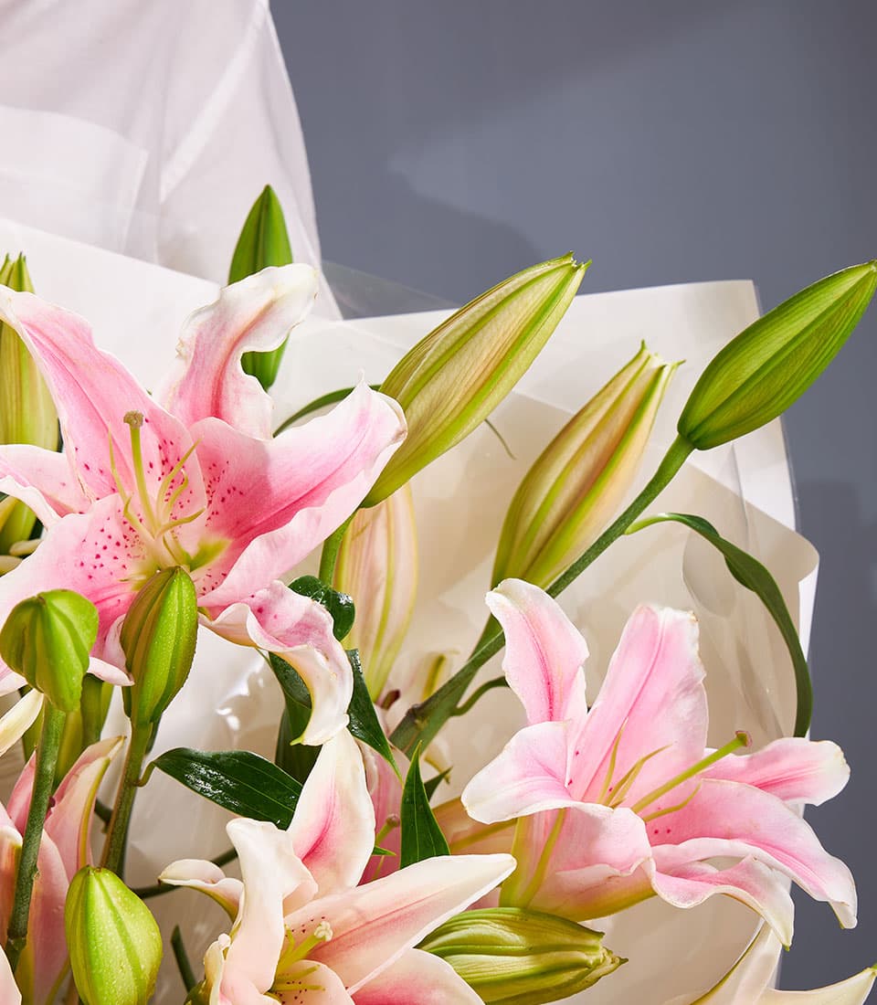 Premium pink Oriental lilies with yellow stamens in elegant white paper wrap, fresh luxury bouquet for gifting