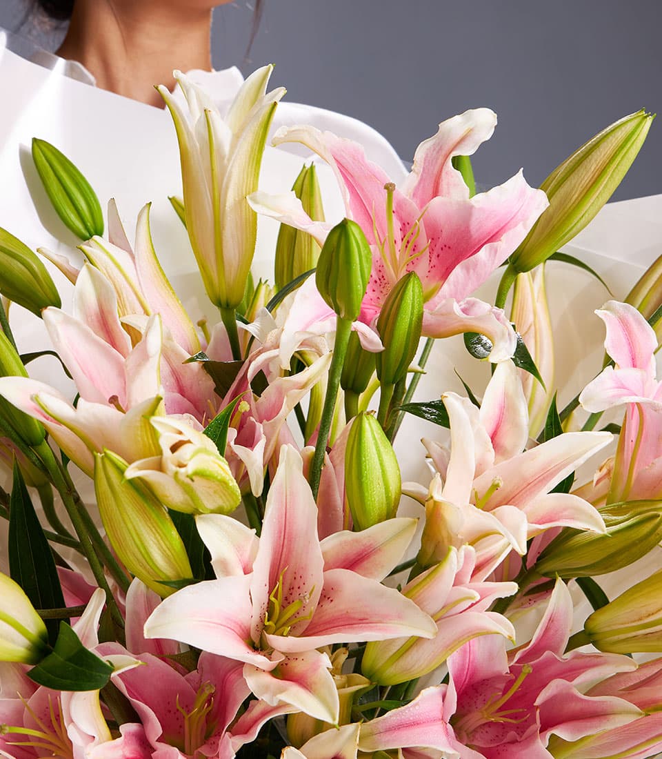 Grand pink and white Oriental lilies with green buds, densely arranged in white wrapping for premium gifting