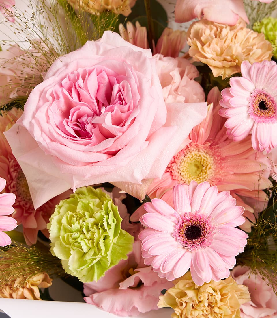 Pastel pink roses and gerbera daisies fresh flower bouquet with lime green accents
