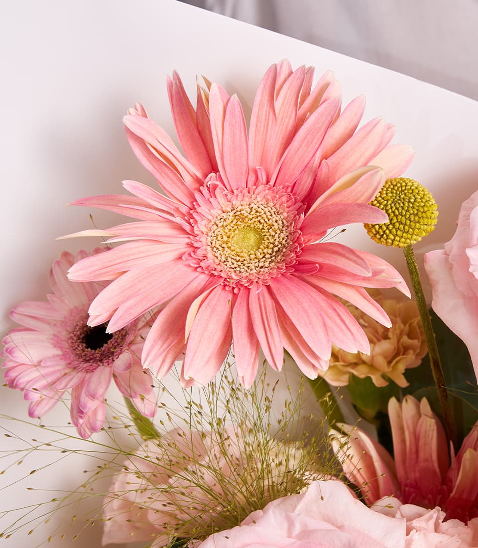 Pastel pink gerberas and roses with yellow-green craspedia in fresh gift bouquet