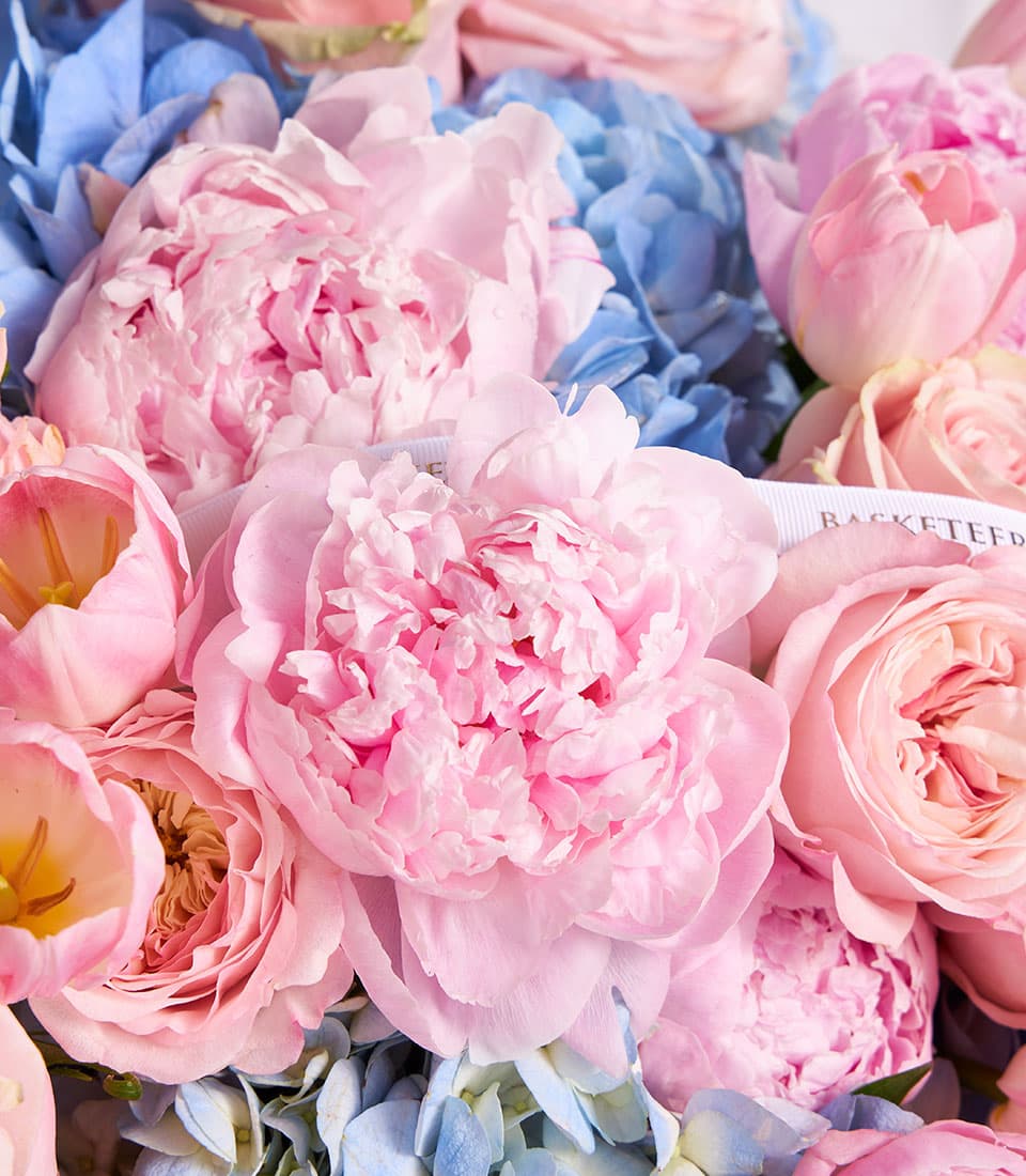Blush peony and blue hydrangea bouquet with pink roses and tulips, premium fresh flower arrangement