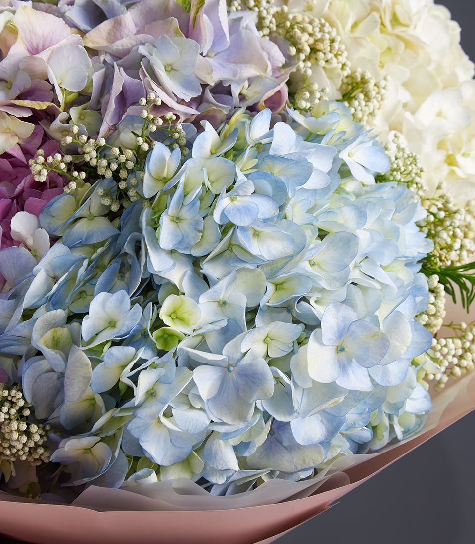 Luxury bouquet of light blue, purple, and white hydrangeas with baby's breath, wrapped in soft pink paper