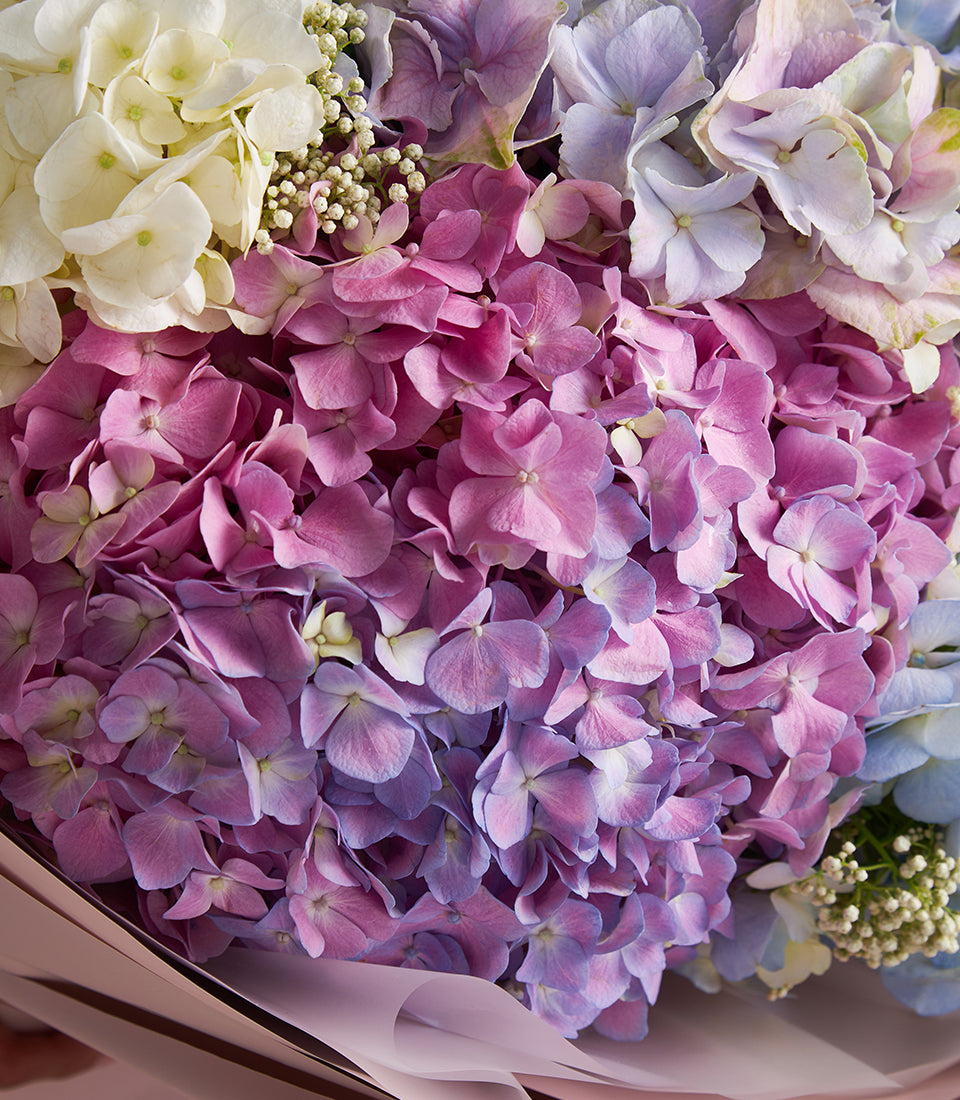 Premium hydrangea luxury bouquet in white, pink, and purple with filler flowers, wrapped in rose-toned paper