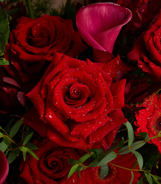 Crimson Elegance Bouquet of deep red roses and fuchsia calla lily with eucalyptus greenery