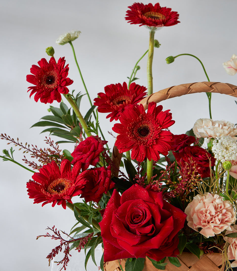 Crimson roses and red gerbera daisies in woven basket with pink carnations, perfect birthday flower gift