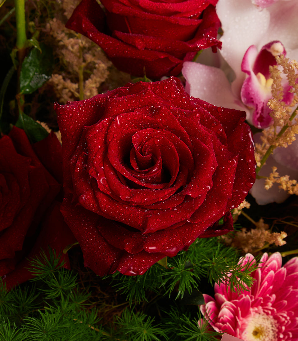Eternal Grace Bouquet with deep red roses, pink orchids, and gerbera daisy in fresh floral arrangement
