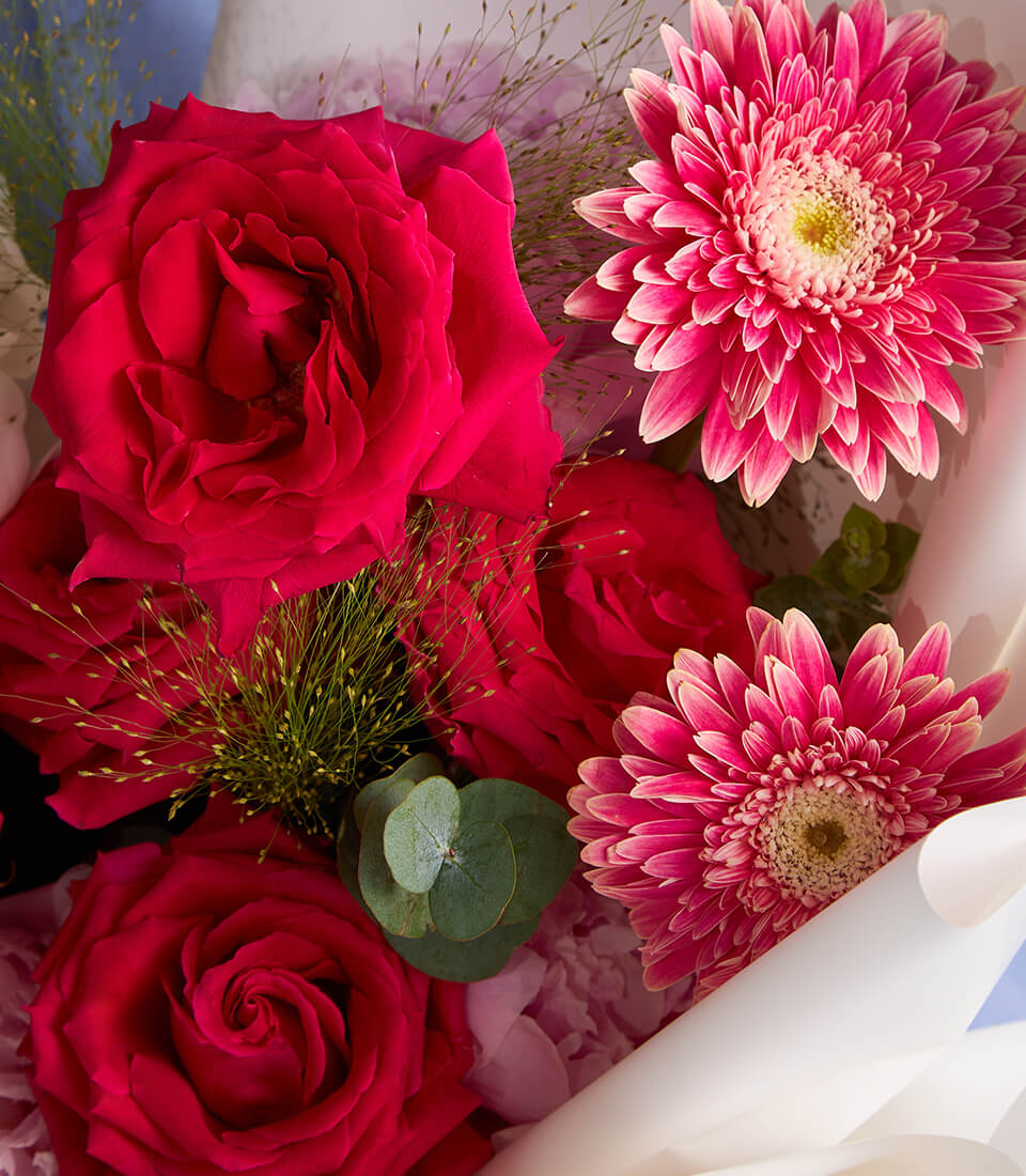 Blooming Elegance bouquet of deep red roses and pink gerbera daisies with eucalyptus, wrapped in white
