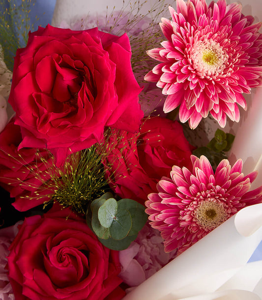 Blooming Elegance bouquet of deep red roses and pink gerbera daisies with eucalyptus, wrapped in white