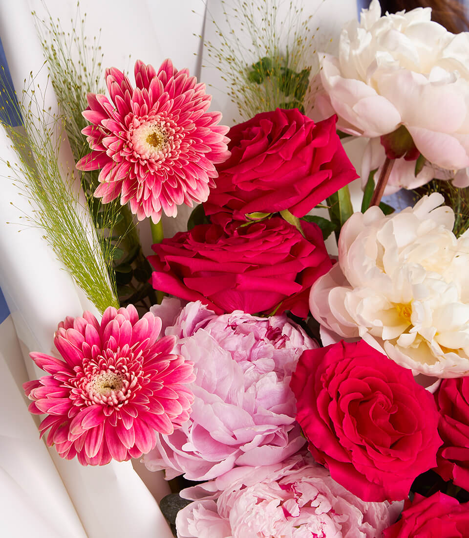 Vibrant bouquet of pink gerbera daisies, red roses, and white peonies with greenery, wrapped in white paper