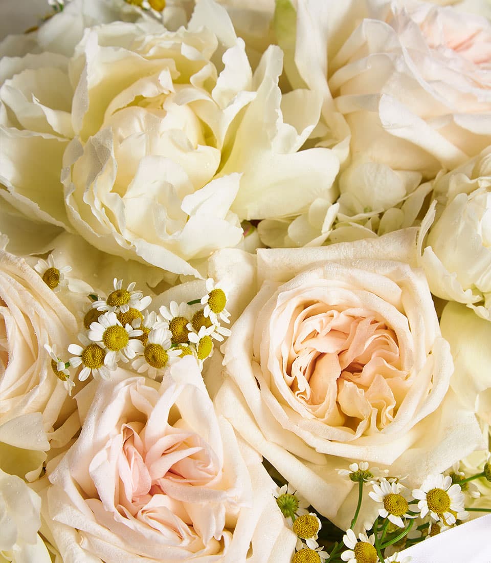 Ivory Bloom mixed bouquet with cream roses, soft blush peonies, and white daisies with yellow centers