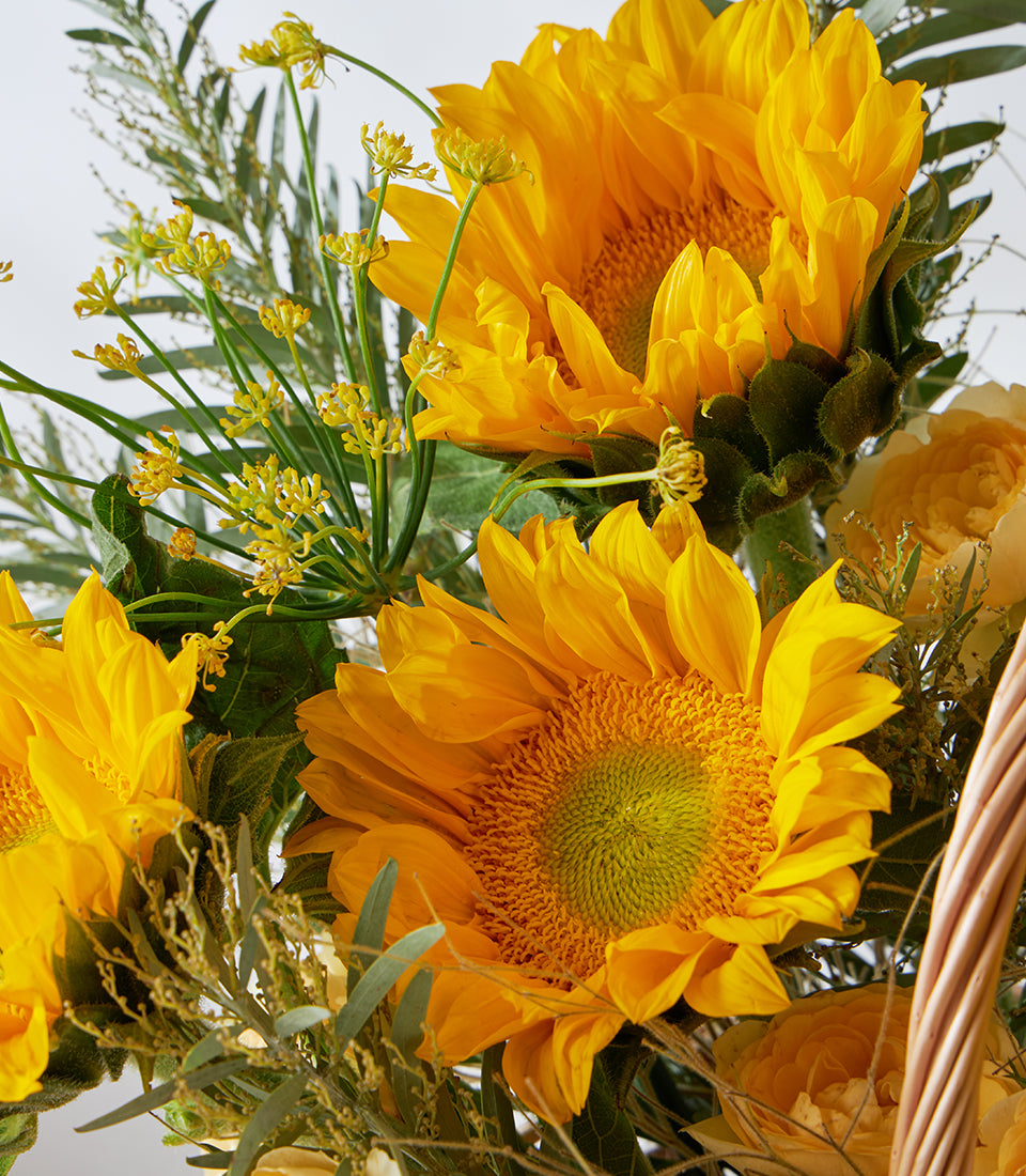 Sunflowers and yellow roses in woven basket with eucalyptus greenery, premium fresh flower arrangement