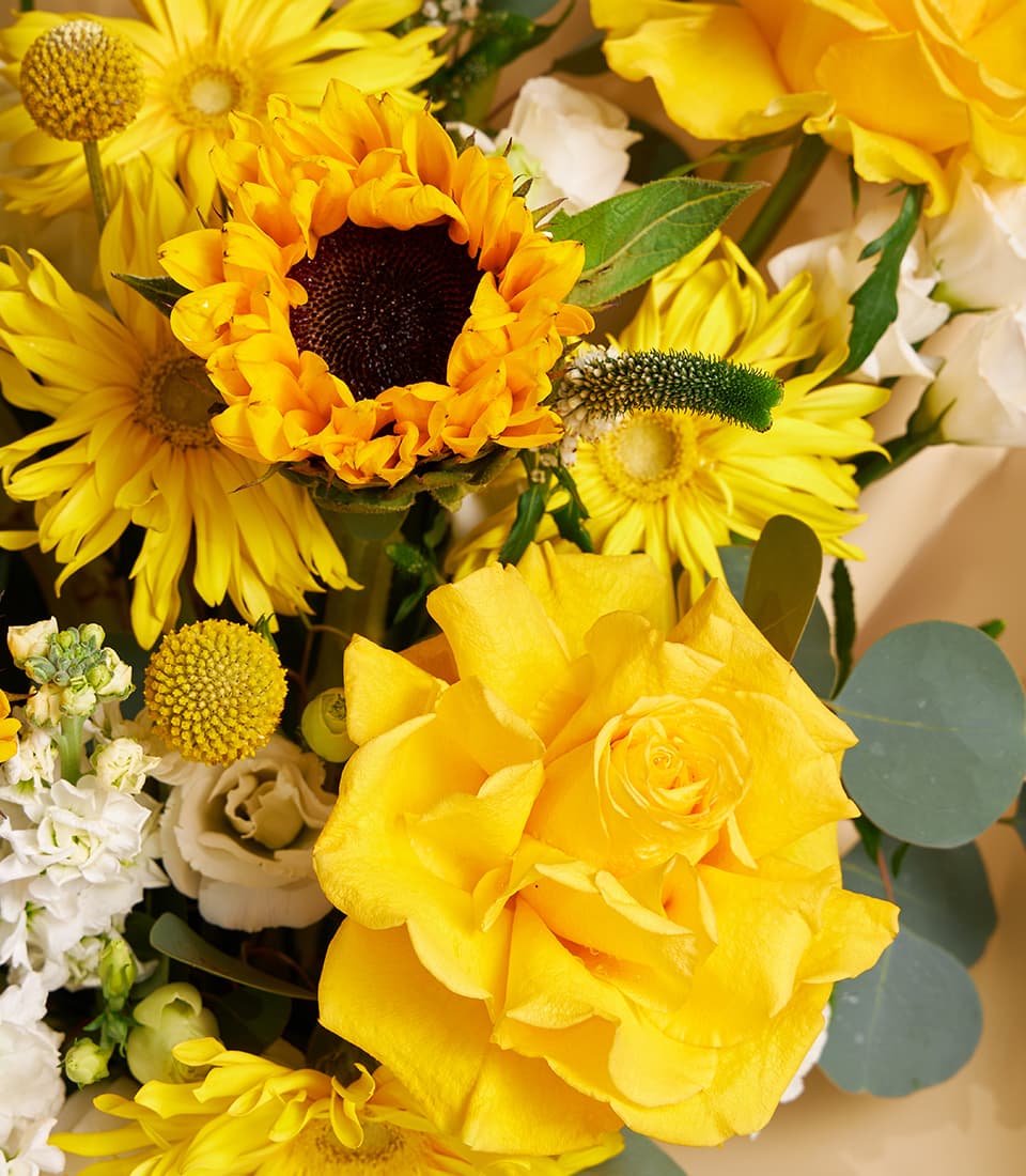 Vibrant yellow rose and sunflower bouquet with white stock flowers and eucalyptus, hand-tied in natural paper