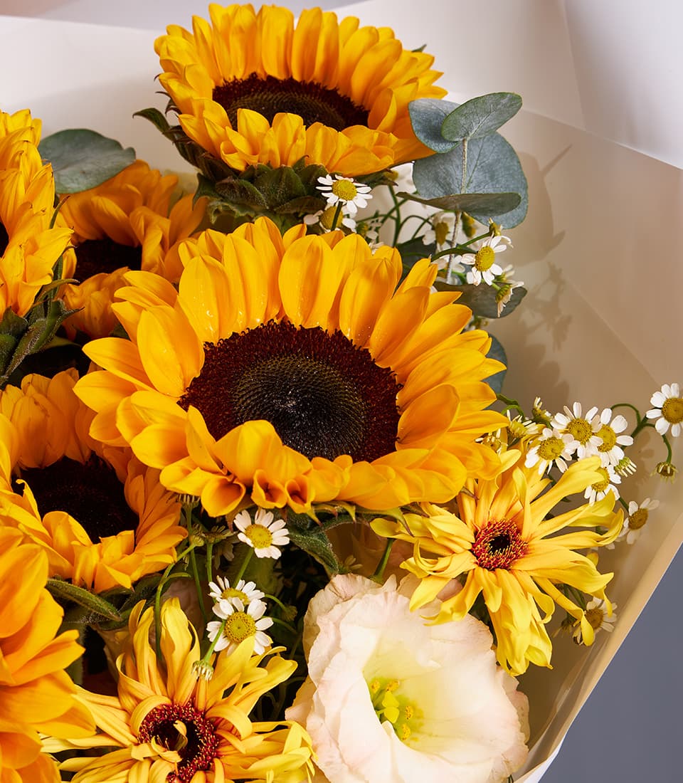 Bright sunflower and white daisy garden bouquet with cream paper wrapping, perfect for celebrations and gifting