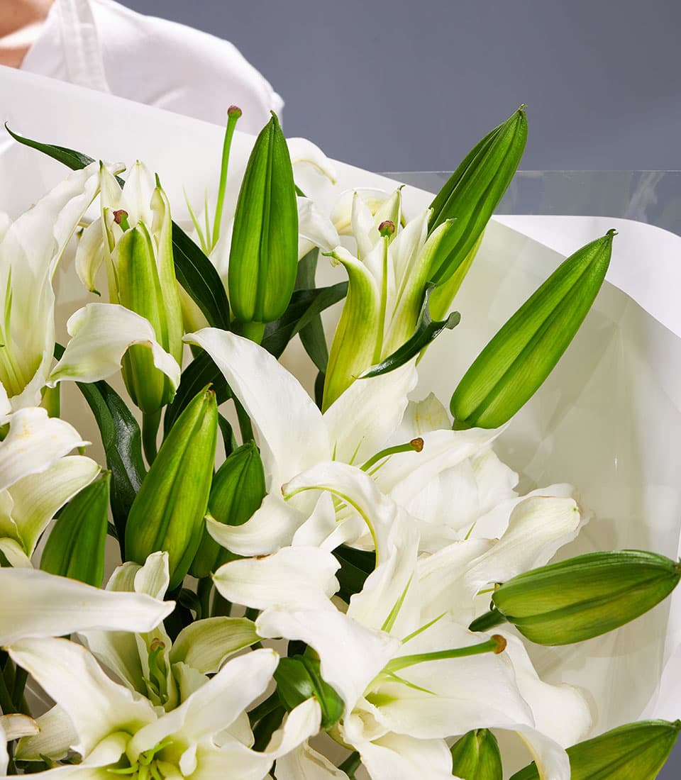 Elegant white Oriental lily bouquet with green stems and buds in cellophane wrap