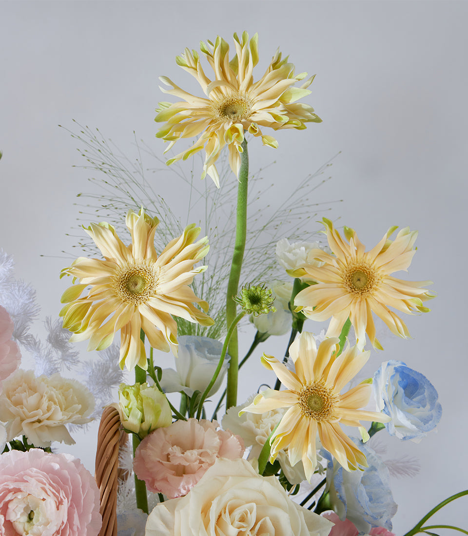 Pastel yellow gerbera daisies and pink roses in woven gift basket with cream lisianthus and white carnations for birthday