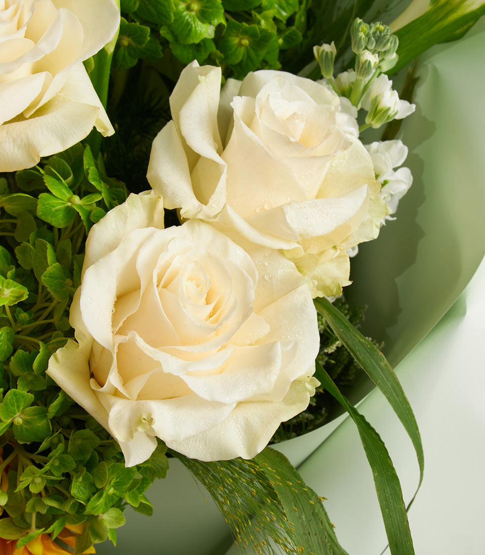 Fresh white roses with vibrant green foliage in luxury bouquet