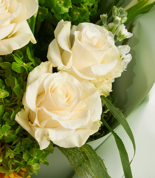 Fresh white roses with vibrant green foliage in luxury bouquet