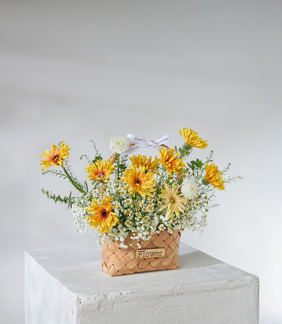 Yellow chrysanthemums and white baby's breath in woven basket, cheerful birthday flower gift