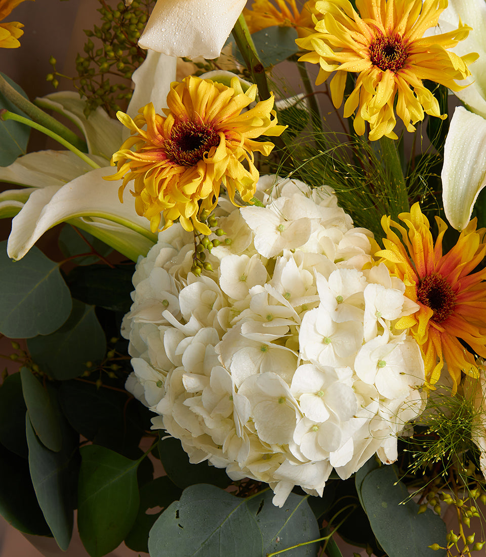 Premium white hydrangea and golden gerbera bouquet with fresh calla lilies and eucalyptus greenery