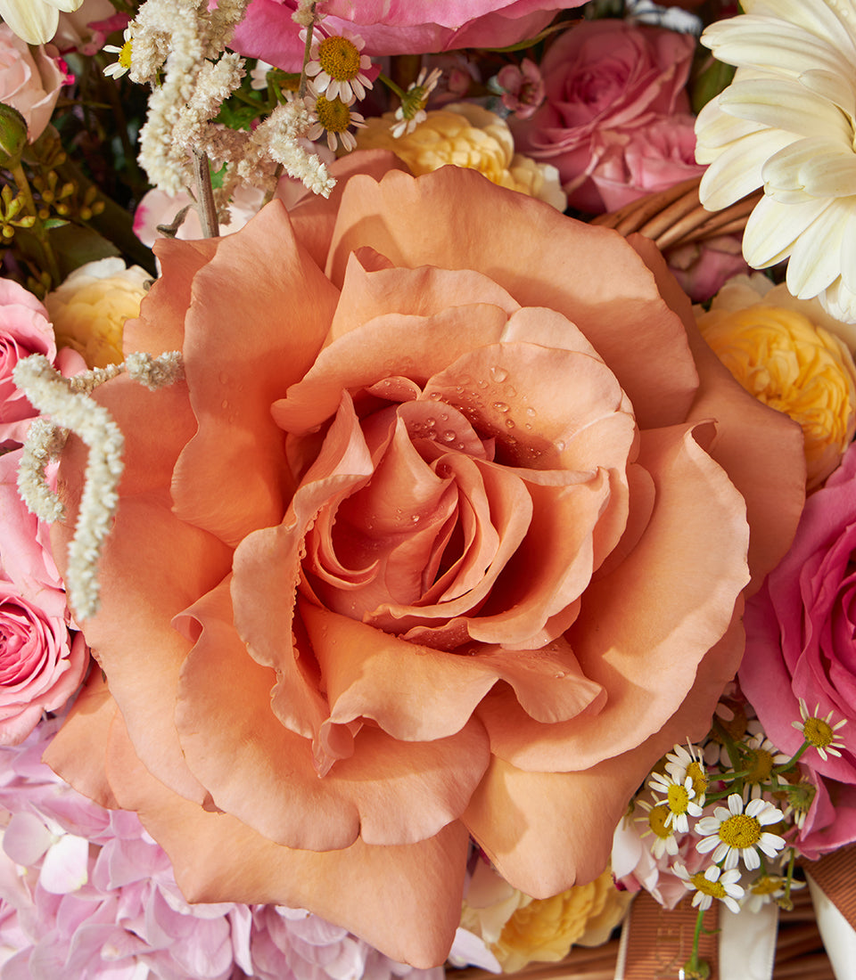 Vibrant peach and pink roses with gerberas and white daisies in woven basket arrangement