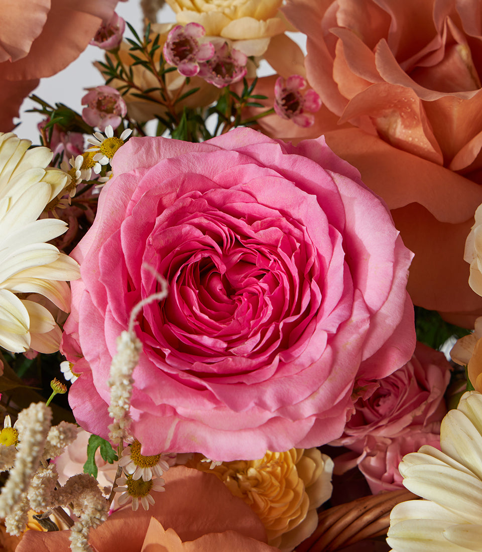 Vibrant orange and pink roses with white gerberas in woven basket arrangement