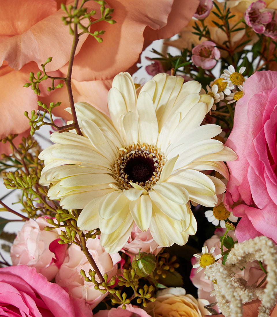 Vibrant orange and pink roses with cream gerbera in a luxury fresh flower basket arrangement