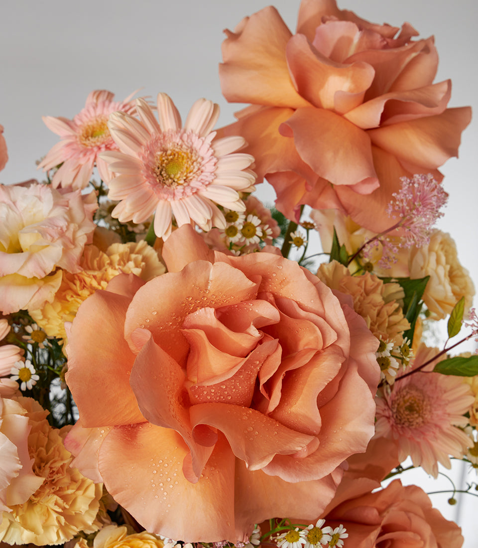 Vibrant orange roses, carnations and chrysanthemums fresh flower basket bouquet in peach and pink tones
